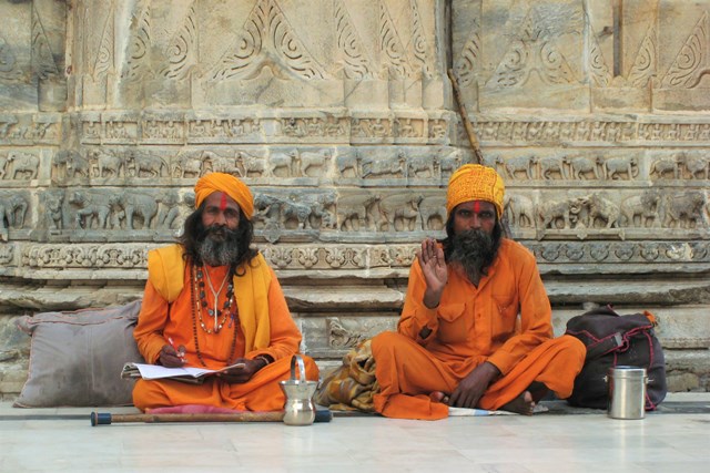 Temple's babbus