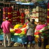 13 Flower Market / Marché aux Fleurs